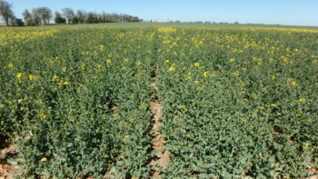 INV1188, 20. 4. 2020