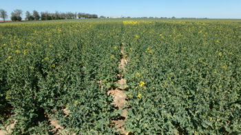 Ermino KWS, 20. 4. 2020