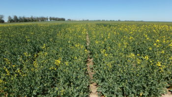 Alicante, 20. 4. 2020