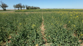 RGT Trezzor, 20. 4. 2020